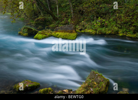 Grande a molla, Ozark National Scenic Riverways, Missouri Foto Stock