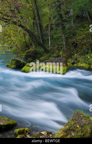 Grande a molla, Ozark National Scenic Riverways, Missouri Foto Stock