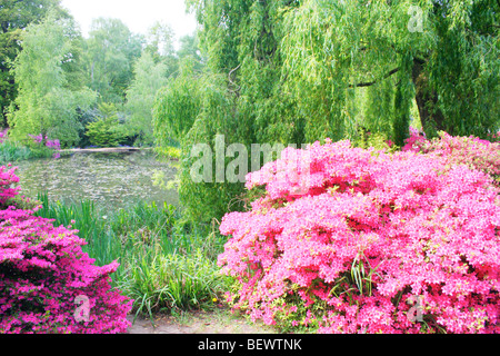 Bellissimo lago appartata in ambiente tranquillo Foto Stock