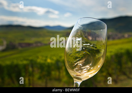 Vino bianco e degustazione di vino di vorticazione in vetro tra i vigneti di autunno Francia Foto Stock