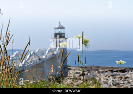 Marshall Point Lighthouse e baia di Penobscot, Port Clyde, Maine, Stati Uniti d'America visto attraverso graminacee selvatiche, Queen-Anne il merletto e nebbia Foto Stock