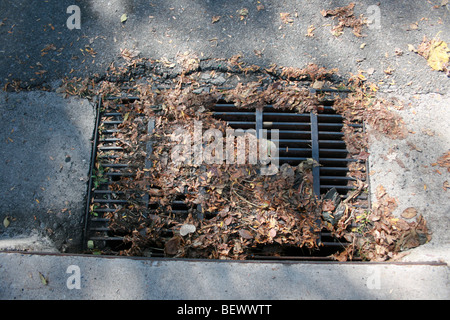 Foglie di gronda di intasamento in strada Foto Stock