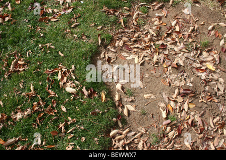 Il contrasto tra la massa con coltivazione di erba e terra con erba, marrone e verde Foto Stock