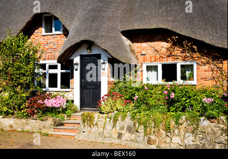 Graziosi cottage con il tetto di paglia nel Wiltshire villaggio di Ogbourne St George, England, Regno Unito Foto Stock