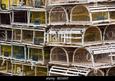 Lobster Pot in Prince Edward Island Foto Stock