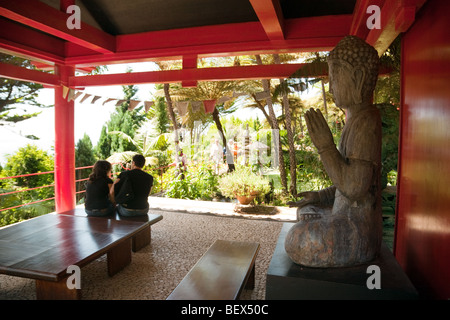 Un corteggiamento giovane nel giardino giapponese, Monte Palace Gardens, Monte, Funchal, Madeira Foto Stock