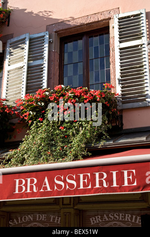 La Brasserie segno GENERIC FRANCIA ristorante esterno del tipico ristorante francese brasserie con soleggiata floreale colorato window box Foto Stock