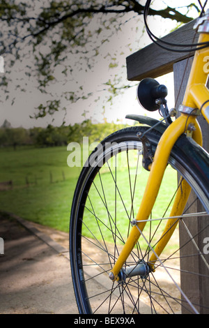 Bici Foto Stock