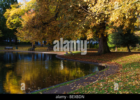 Un parco all'inglese su una mattina di autunno Foto Stock