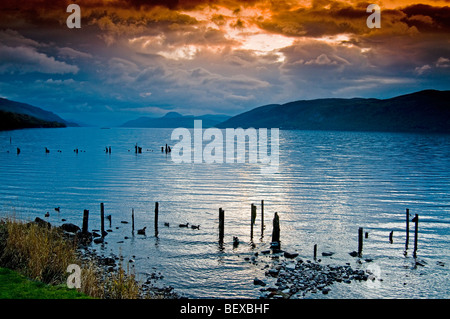 Luce della Sera su Loch Ness all'estremità est sulla spiaggia Dores Inverness-shire regione delle Highlands Scozzesi. SCO 5389 Foto Stock