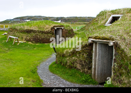 L' Anse aux Meadows Griquet Terranova in Canada Foto Stock