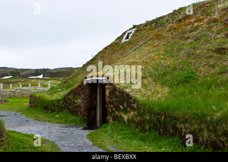 L' Anse aux Meadows Griquet Terranova in Canada Foto Stock