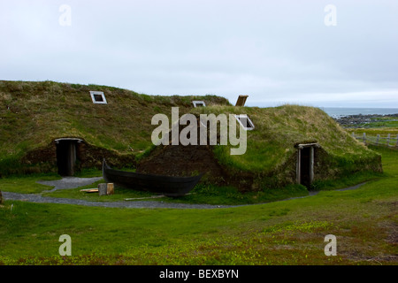 L' Anse aux Meadows Griquet Terranova in Canada Foto Stock