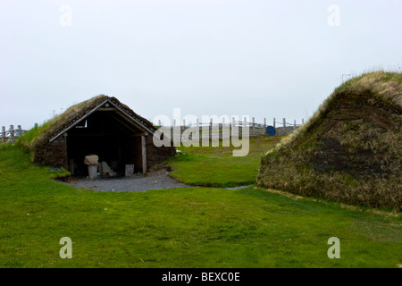 L' Anse aux Meadows Griquet Terranova in Canada insediamento vichingo Foto Stock