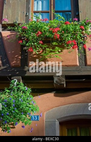 Alsazia generico vetro colorato nella casella al di fuori del tradizionale tipica Francone casa in Alsace Francia Foto Stock