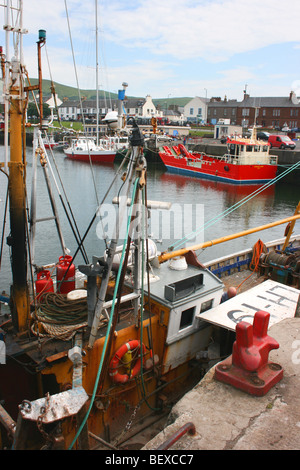 La pesca barche ormeggiate nel porto di Girvan, South Ayrshire, in Scozia Foto Stock