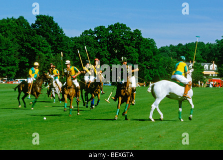 Giocatori di polo in azione a Campo de Polo in Buenos Aires, Argentina Foto Stock