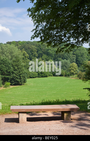 In legno panchina del parco che si affaccia su un campo e la foresta in una città urbana park Foto Stock