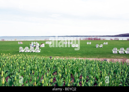 Poltrone Adirondack sul prato in isola di Mackinac, Michigan Foto Stock