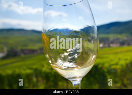 Vino bianco e degustazione di vino di vorticazione in vetro tra i vigneti autunnali Francia Foto Stock