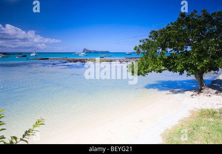 Bella sabbia bianca spiaggia tropicale nella parte nord di Mauritius Foto Stock