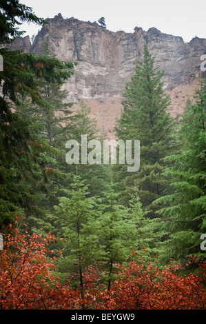 Colori autunnali migliorare questa scena nel Canyon Pipestone vicino Winthrop, Washington in Methow Valley. Foto Stock