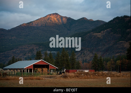 La bellissima Methow Valley, vicino a Mazama, è l'impostazione per questa scena pastorale di un cavallo ranch nel North Cascades Mts. Foto Stock