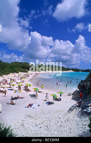 Horseshoe Bay Beach in South Shore Park sull'isola delle Bermuda Foto Stock