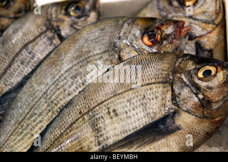 Mercato di Rungis nella periferia di Parigi è il più grande commercio all'ingrosso di carne, pesce e verdura nel mondo. Foto Stock