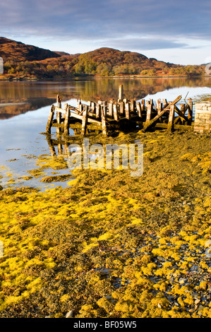 Il vecchio Kinlochmoidart Peir sul Loch Moidart dalla A861 road Lochaber, Inverness-shire. La Scozia. SCO 5439 Foto Stock