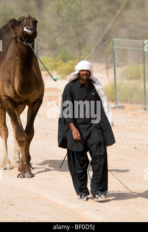 Tradizionalmente condita arabo camel herders Al Dhafra camel festival, Zayed City, Abu Dhabi, Emirati arabi uniti Foto Stock