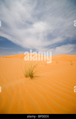 Le dune di sabbia in Liwa, Abiu Dhabi Foto Stock