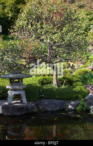 Lanterna di pietra vicino al laghetto in giardino giapponese Foto Stock