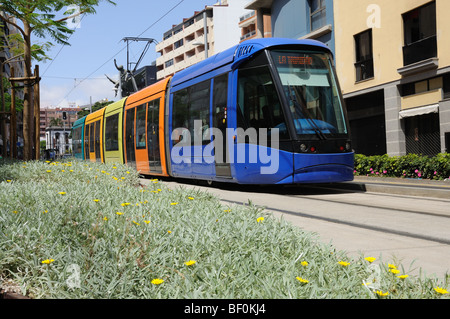 Tramvia a Santa Cruz de Tenerife. Isole Canarie Spagna Foto Stock