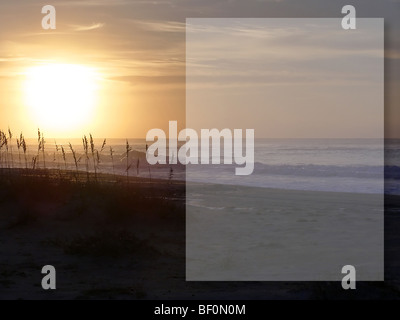 Tramonto sulla spiaggia con mare di avena in silhouette e una casella di testo Foto Stock