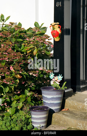 Pentole di terracotta all'entrata di una casa in High Street East Grinstead Foto Stock