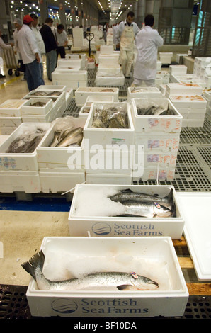 Mercato di Rungis nella periferia di Parigi è il più grande commercio all'ingrosso di carne, pesce e verdura nel mondo. Foto Stock