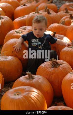 Un alto 13 mese old boy (guarda 11 a 20 mesi) svolge nella zucca patch durante le vacanze di Halloween. Foto Stock