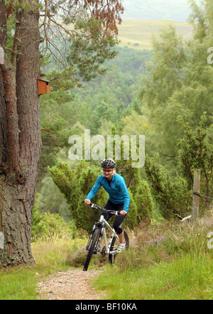 Amici in bicicletta su un oggetto costruito cross country corso di mountain bike Foto Stock