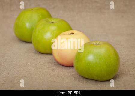 Tre mele verdi e una gialla contro una tela Foto Stock