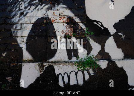 Padova,l'Italia,un murale dipinto raffigurante due teschi Foto Stock