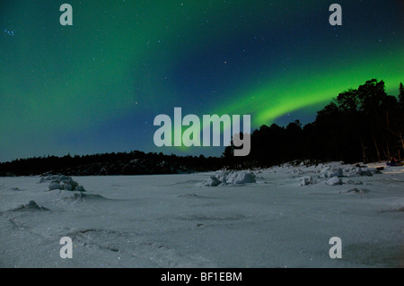 Aurora boreale, luce polare, Polarlight, auroras polare, Mare Bianco, Russia, Carelia Foto Stock