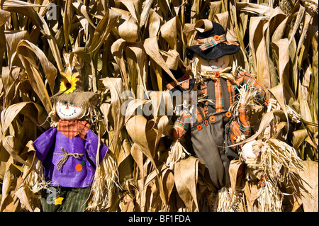 Scarecrows in cornfield Foto Stock