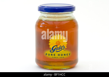Un vasetto di Gales puro miele contro uno sfondo bianco Foto Stock