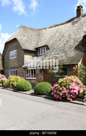 Cottage con tetto di paglia di casa nel Dorset villaggio rurale di Okeford Fitzpaine Foto Stock