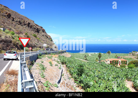 Tenerife, Isole Canarie, isola, Spagna, Las Granaderas, banana piantagioni di fattoria Foto Stock