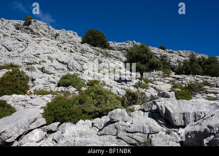 Vista da Puig de Massanella la seconda vetta isola spagnola di Maiorca situato nella Serra de Tramuntana. Foto Stock