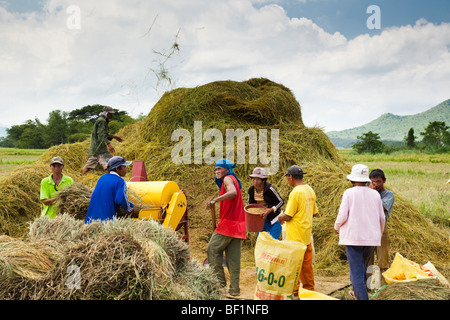 Lavoratori filippini la trebbiatura del riso usando un riso meccanico apparato trebbiante. Iloilo philippines Foto Stock