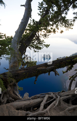 Vista del Phantom Ship dalla tacca di Sun. Nebbia di mattina oscura il cerchio e la linea di orizzonte - Parco nazionale di Crater Lake Oregon Foto Stock