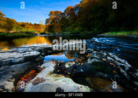 Veduta autunnale del Fiume Ayr in Auchincruive, Ayrshire Foto Stock